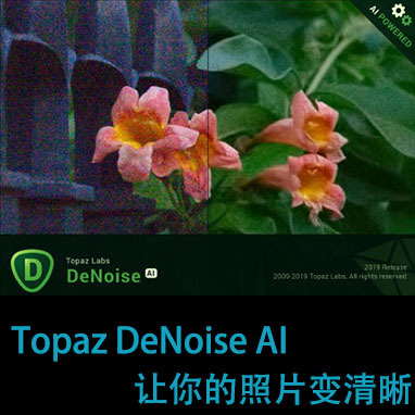 Topaz DeNoise AI 2020全新AI人工智能降噪清晰神器