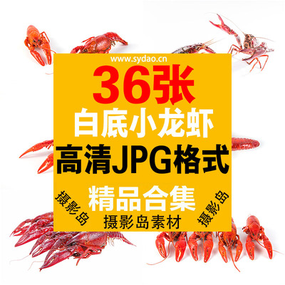 36张摄影白底小龙虾生虾高清大图图片素材，小龙虾电商设计广告照片素材