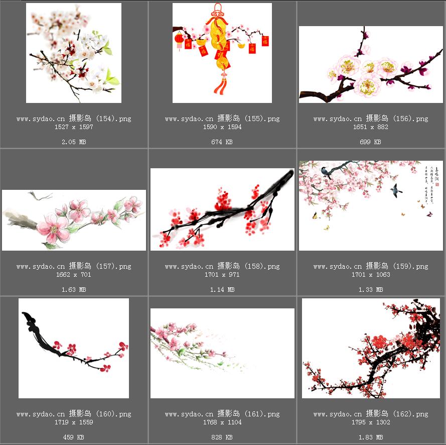 水彩花卉、海棠花、樱花、梅花、桃花、工笔画插画、点缀装饰前景png免抠合成素材