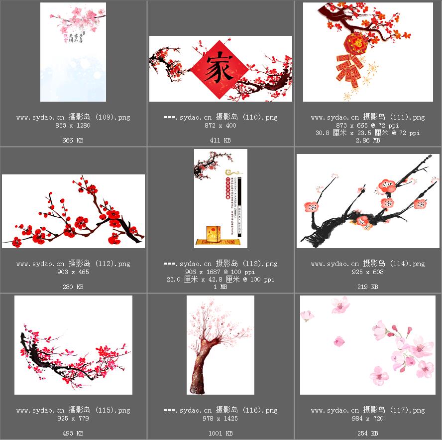 水彩花卉、海棠花、樱花、梅花、桃花、工笔画插画、点缀装饰前景png免抠合成素材