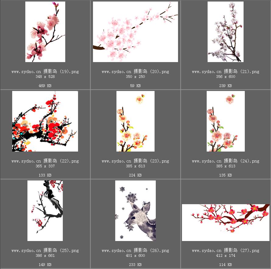 水彩花卉、海棠花、樱花、梅花、桃花、工笔画插画、点缀装饰前景png免抠合成素材