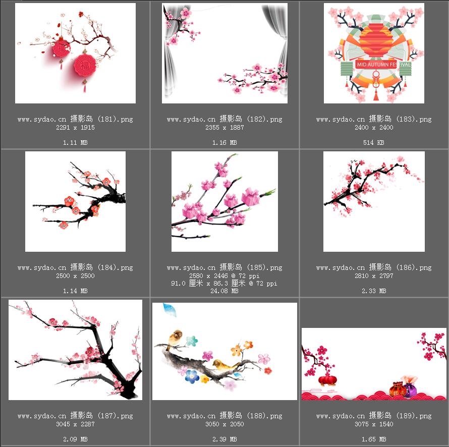 水彩花卉、海棠花、樱花、梅花、桃花、工笔画插画、点缀装饰前景png免抠合成素材