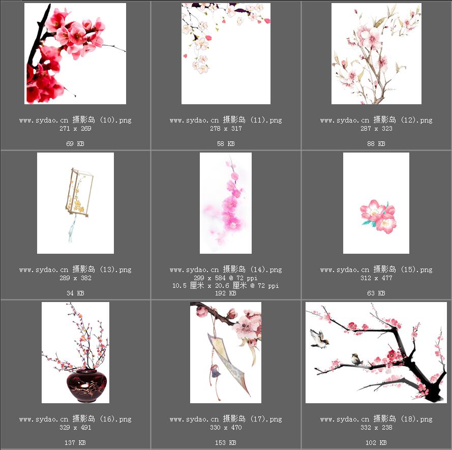 水彩花卉、海棠花、樱花、梅花、桃花、工笔画插画、点缀装饰前景png免抠合成素材