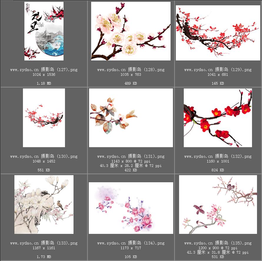 水彩花卉、海棠花、樱花、梅花、桃花、工笔画插画、点缀装饰前景png免抠合成素材