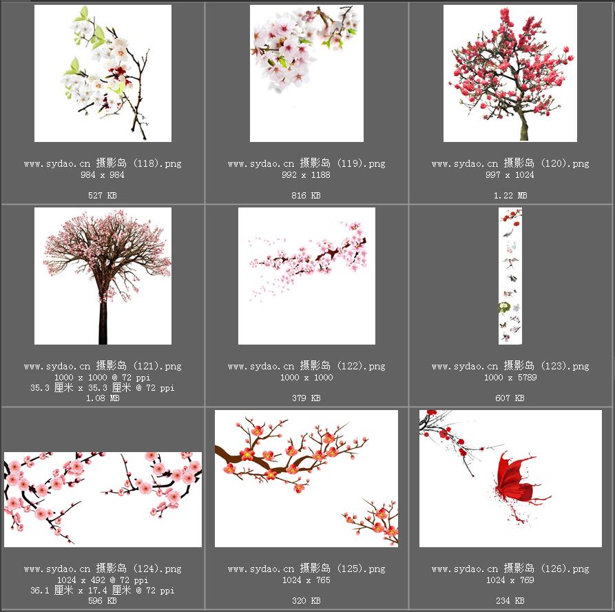 水彩花卉、海棠花、樱花、梅花、桃花、工笔画插画、点缀装饰前景png免抠合成素材