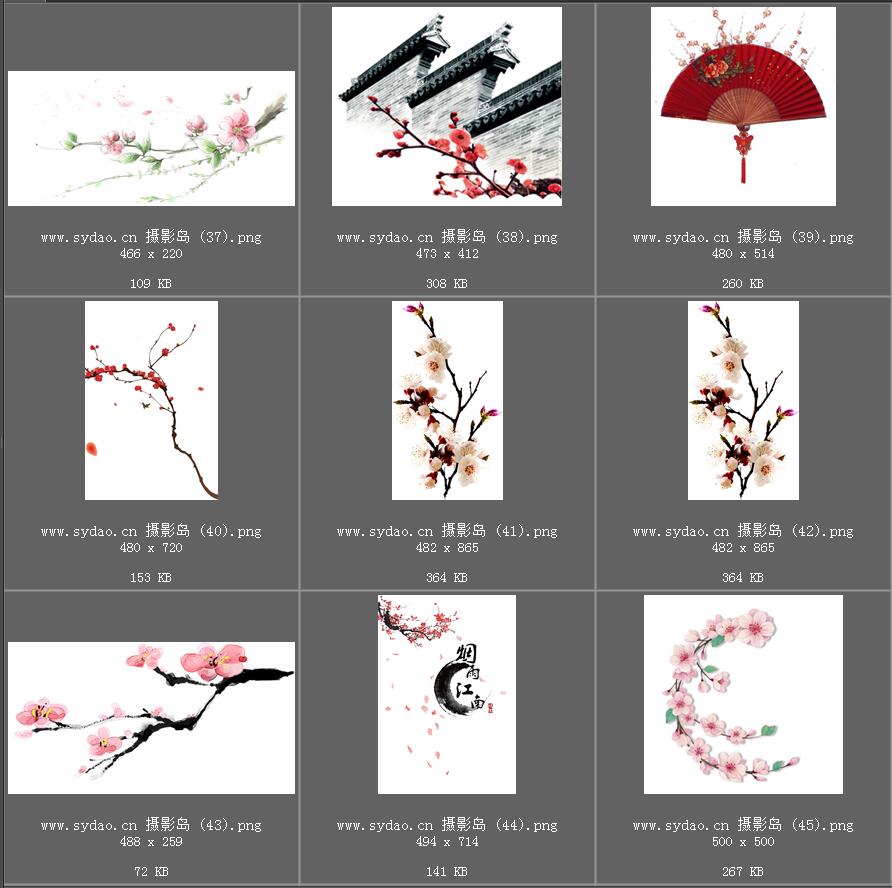 水彩花卉、海棠花、樱花、梅花、桃花、工笔画插画、点缀装饰前景png免抠合成素材