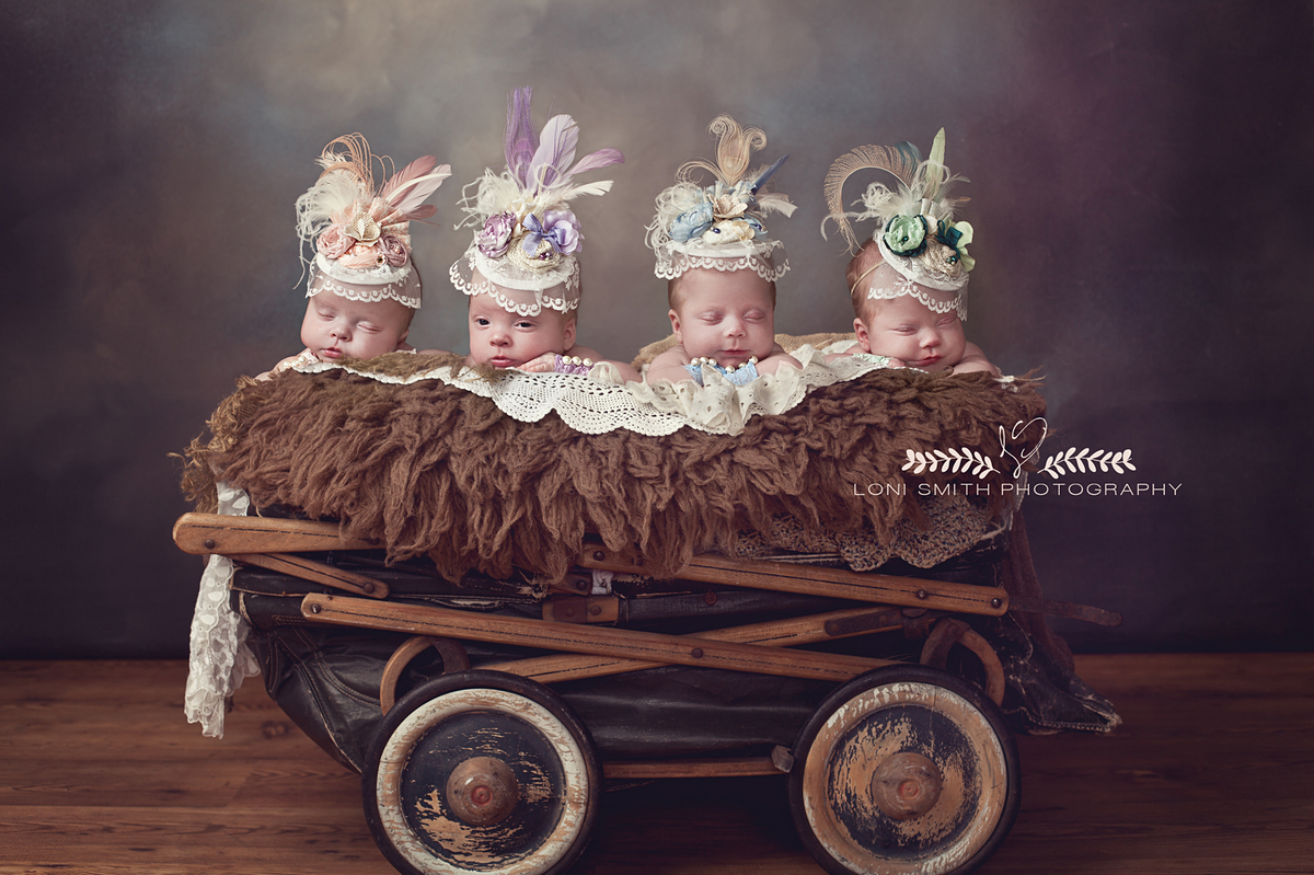 四胞胎新生儿摄影作品