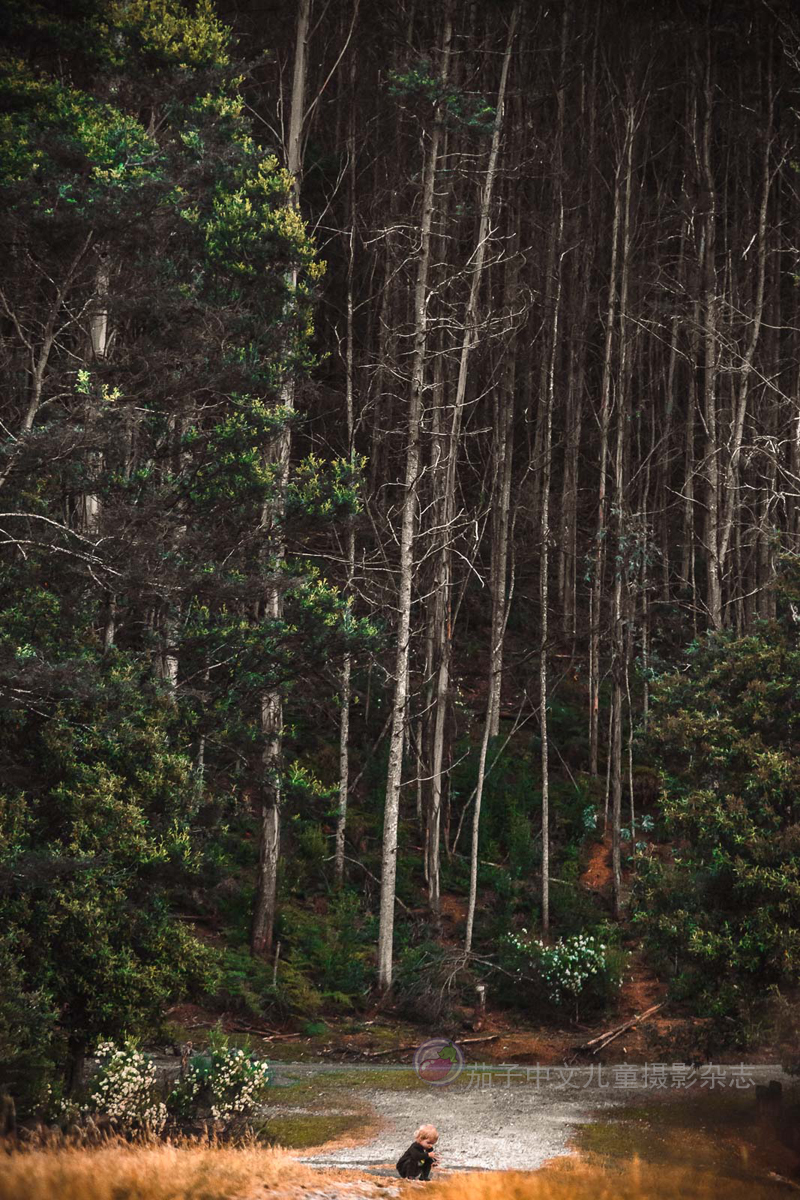 外景儿童场景摄影