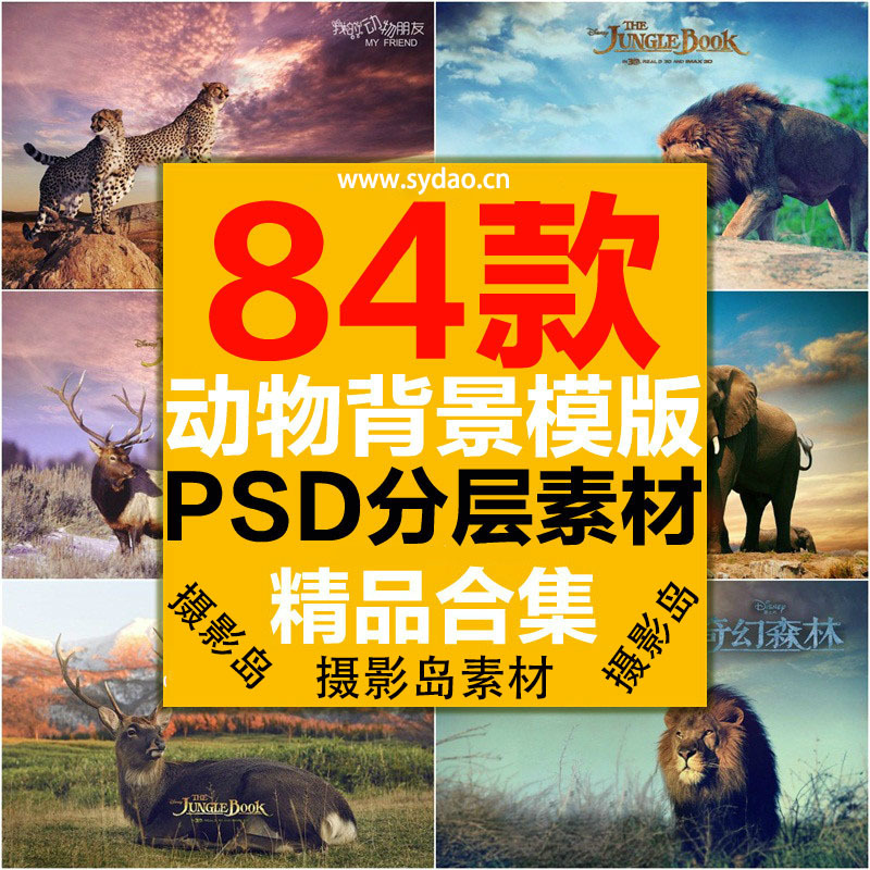 84款3D动物PSD模版素材，儿童摄影森林草原梦幻创意背景，儿童写真后期合成素材  