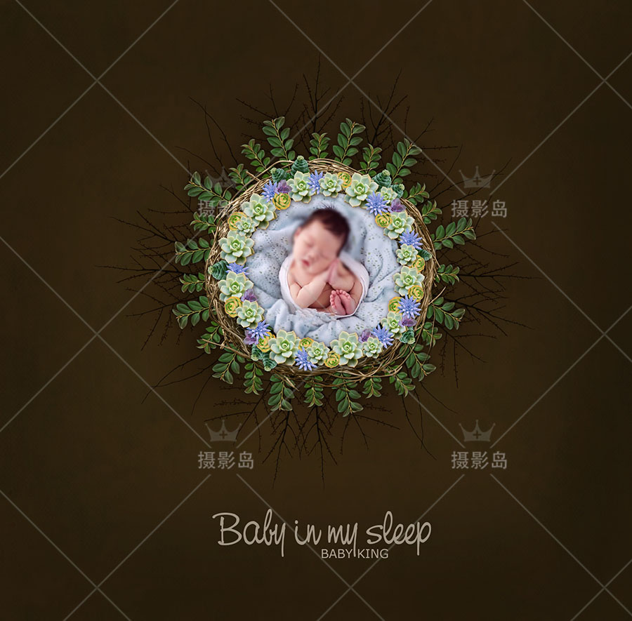 新生儿宝宝摄影创意合成背景PSD模板，新生儿圆型花环花卉换景素材