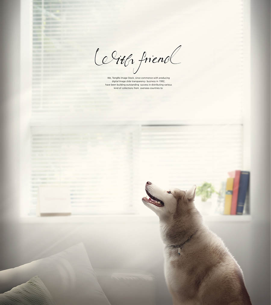 动物宠物、可爱猫咪狗狗、儿童写真合成背景PSD海报模板