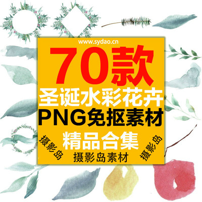 70款圣诞节水彩花卉、花瓣模版PNG免抠PS素材