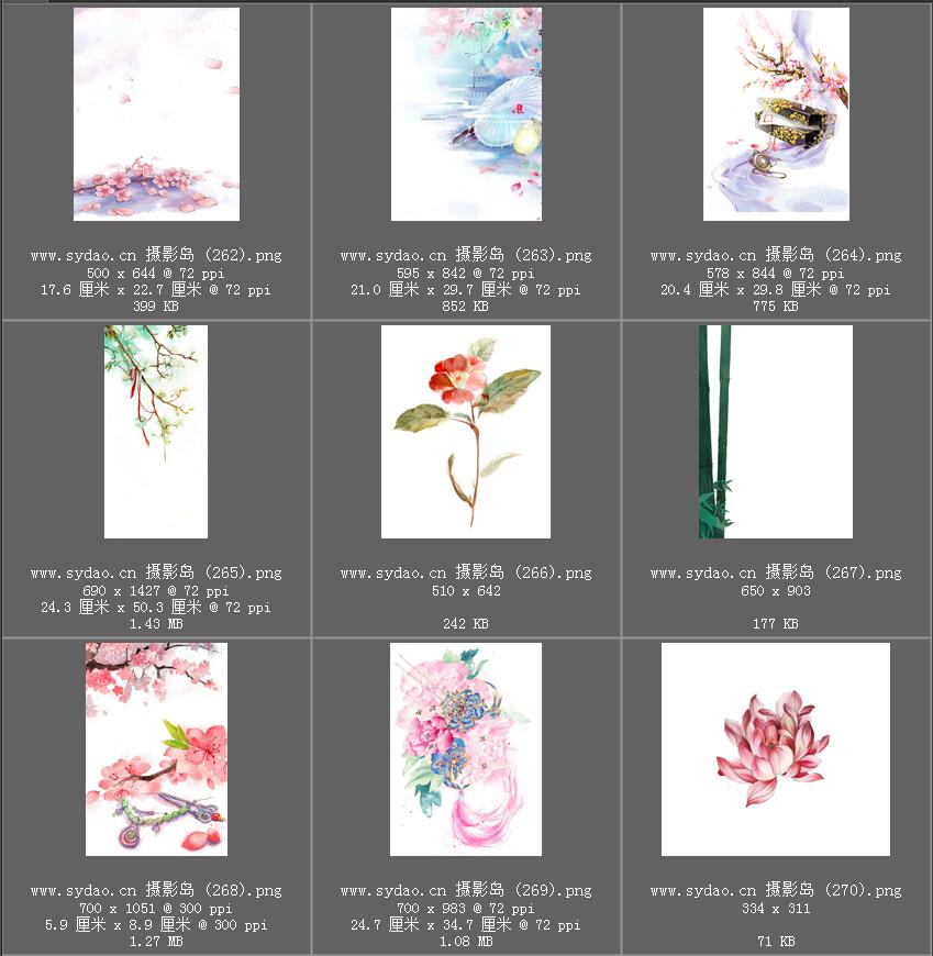 水彩花卉、水墨樱花、梅花、工笔画荷花PNG透明素材