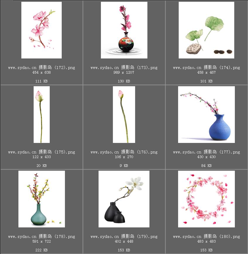 水彩花卉、水墨樱花、梅花、工笔画荷花PNG透明素材