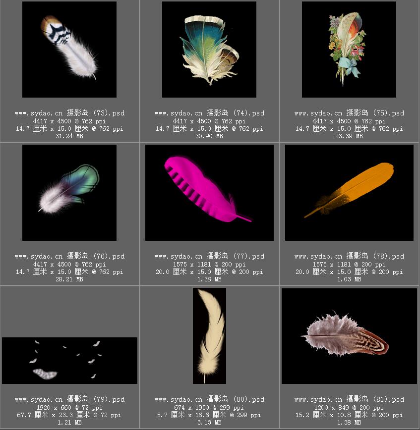 鸟类羽毛、白色彩色羽翼合成ps图片素材