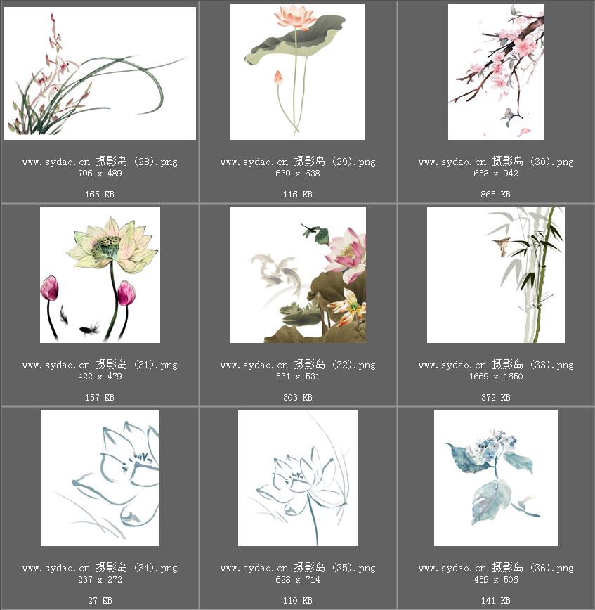 水彩花卉、水墨樱花、梅花、工笔画荷花PNG透明素材