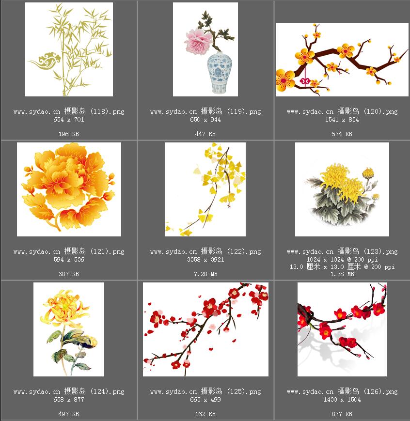 水彩花卉、水墨樱花、梅花、工笔画荷花PNG透明素材