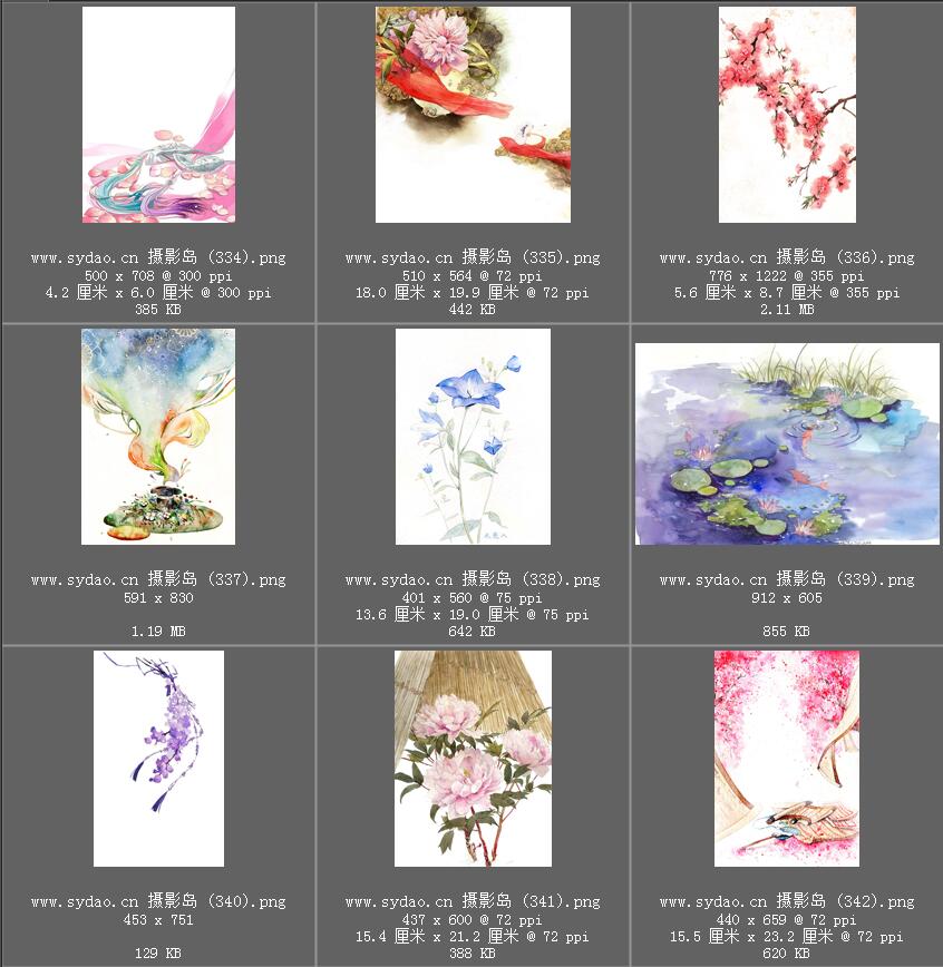 水彩花卉、水墨樱花、梅花、工笔画荷花PNG透明素材