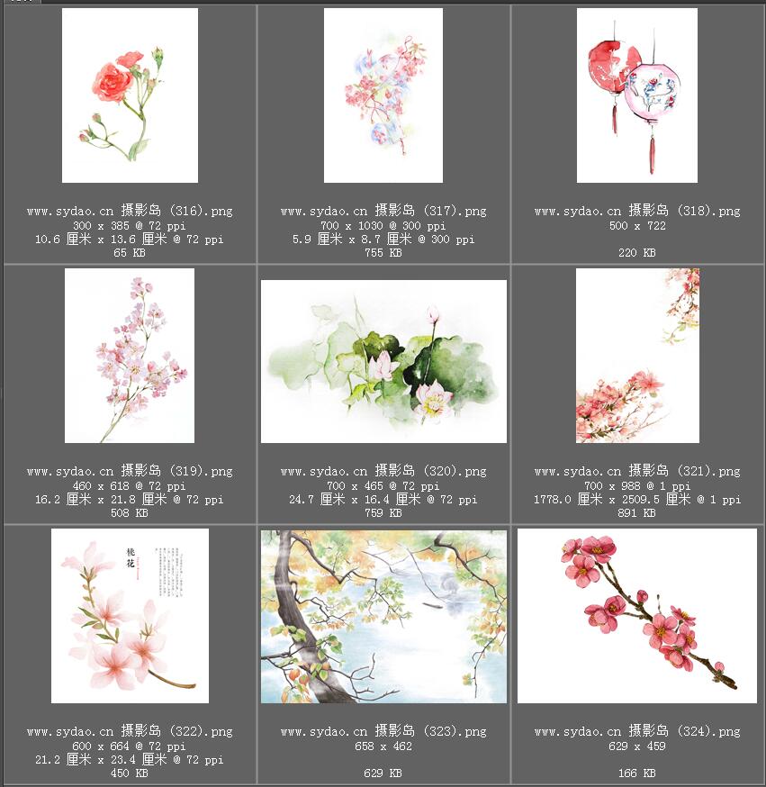 水彩花卉、水墨樱花、梅花、工笔画荷花PNG透明素材