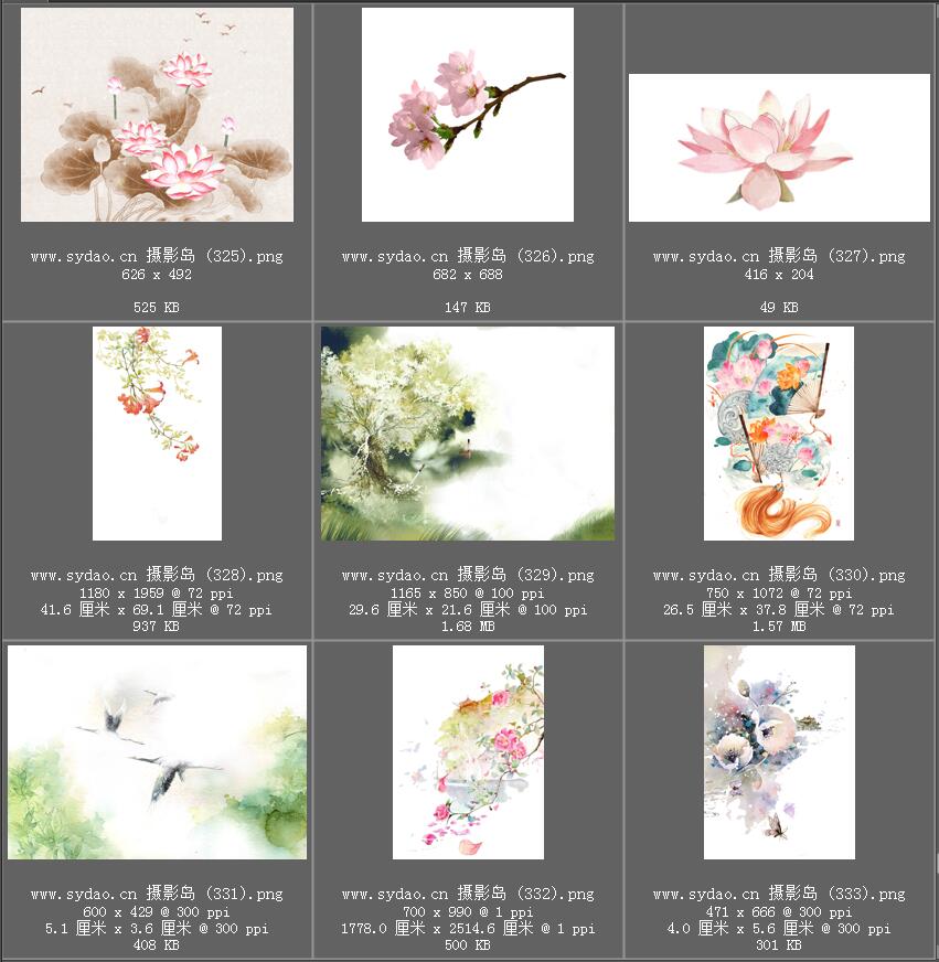 水彩花卉、水墨樱花、梅花、工笔画荷花PNG透明素材