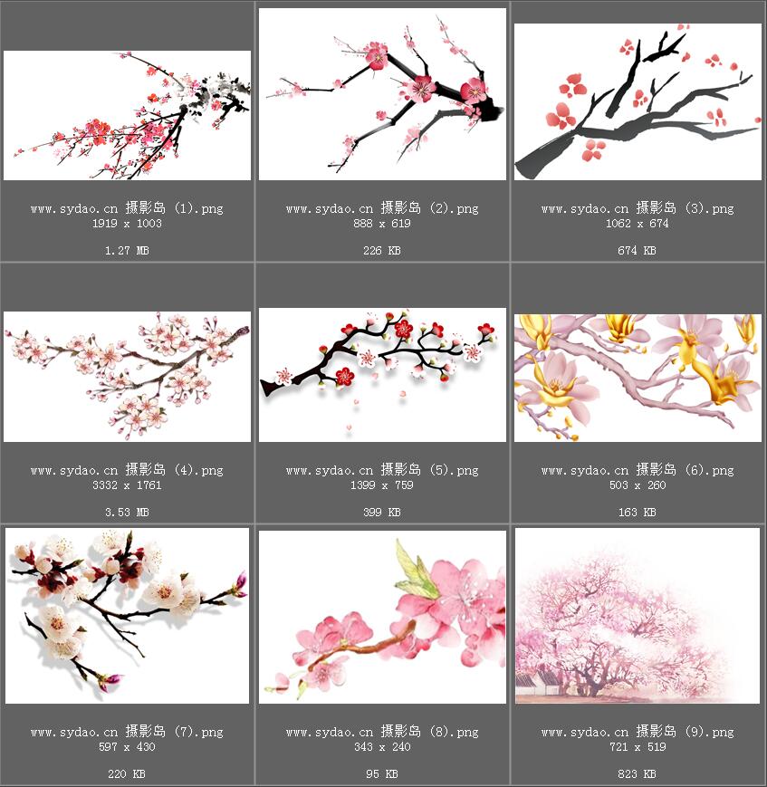 水彩花卉、水墨樱花、梅花、工笔画荷花PNG透明素材