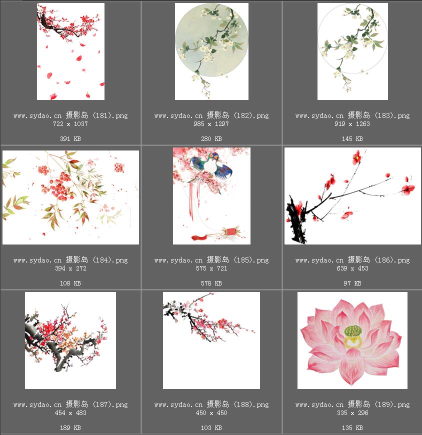 水彩花卉、水墨樱花、梅花、工笔画荷花PNG透明素材