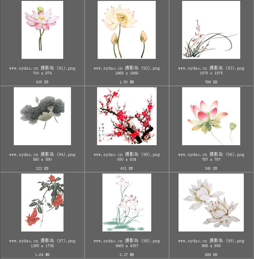 水彩花卉、水墨樱花、梅花、工笔画荷花PNG透明素材