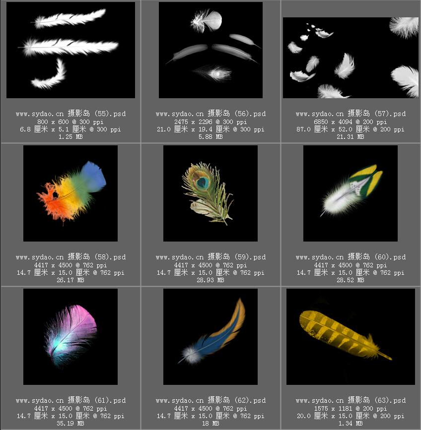 鸟类羽毛、白色彩色羽翼合成ps图片素材