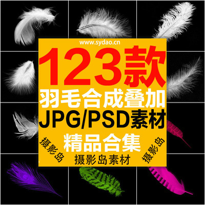 123款鸟类羽毛、白色彩色羽翼合成ps图片素材