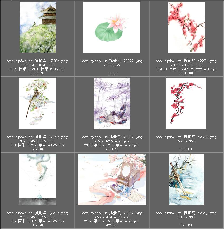 水彩花卉、水墨樱花、梅花、工笔画荷花PNG透明素材