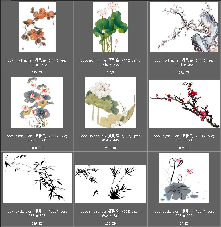 水彩花卉、水墨樱花、梅花、工笔画荷花PNG透明素材