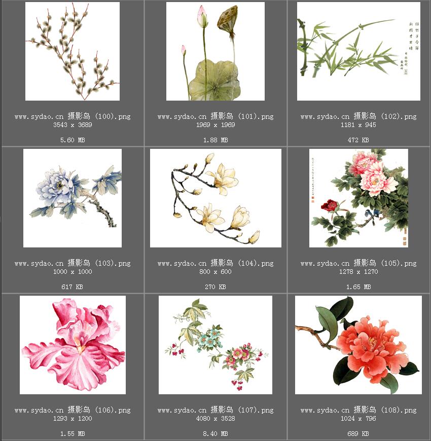 水彩花卉、水墨樱花、梅花、工笔画荷花PNG透明素材