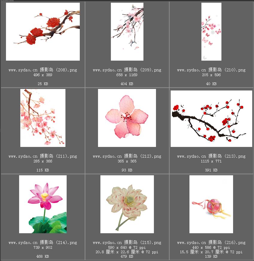 水彩花卉、水墨樱花、梅花、工笔画荷花PNG透明素材