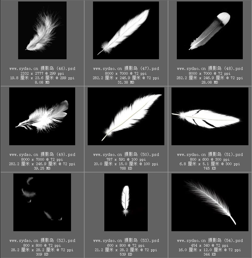 鸟类羽毛、白色彩色羽翼合成ps图片素材