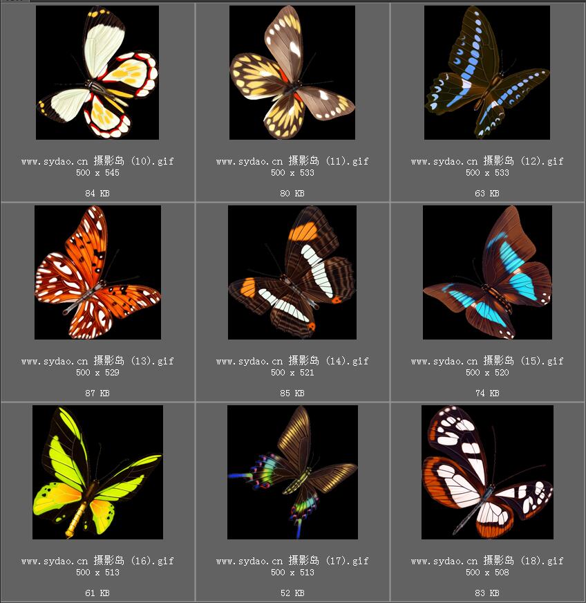 唯美蝴蝶、蜻蜓PNG免抠图片素材