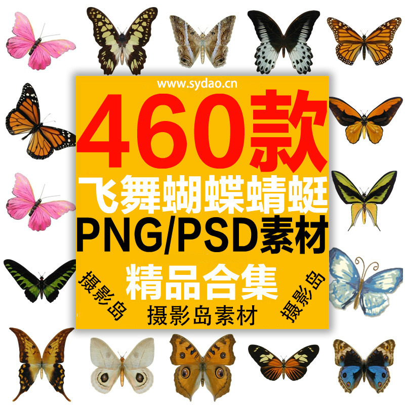 460款唯美蝴蝶、蜻蜓PNG免抠图片素材