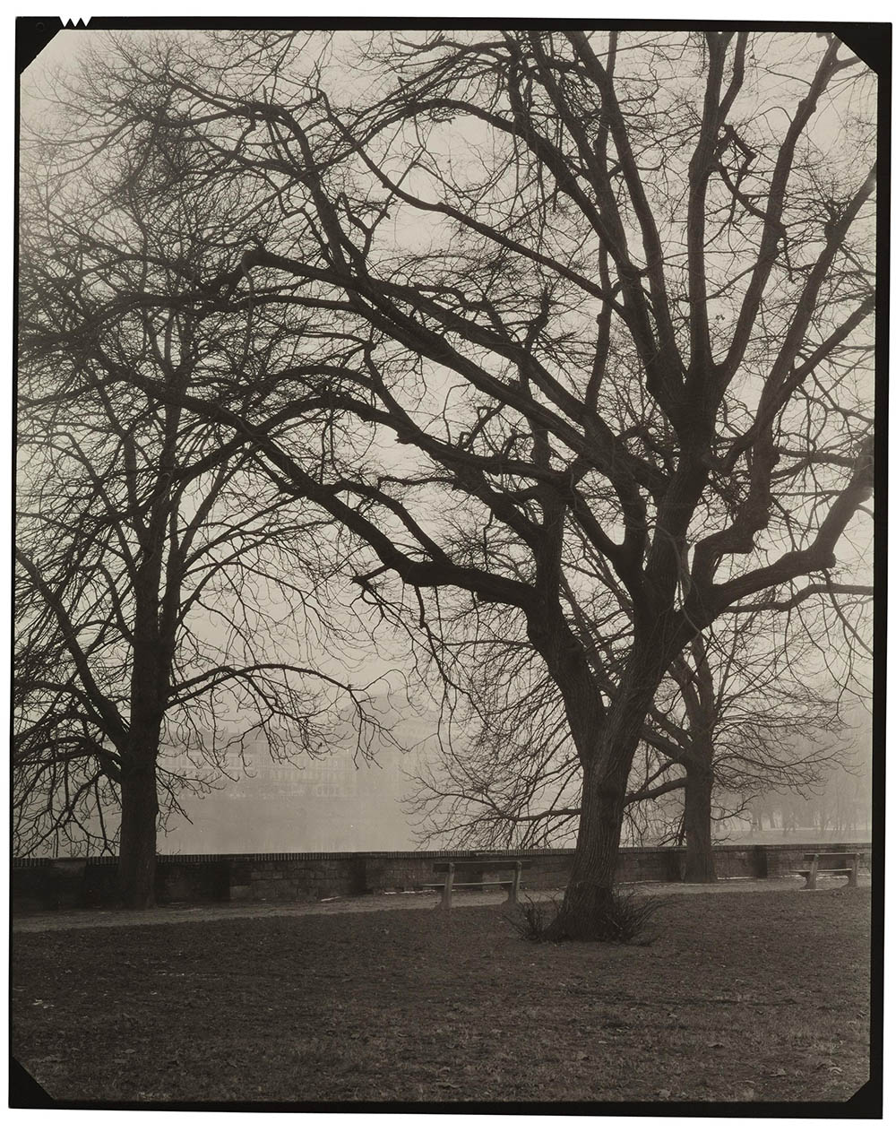 布拉格诗人黑白摄影照片学习参考素材，摄影师Josef Sudek约瑟夫·索德克作品集图片欣赏