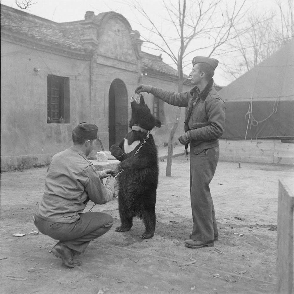 内战时期老照片中国摄影集，威尔克斯1945-1946年拍摄