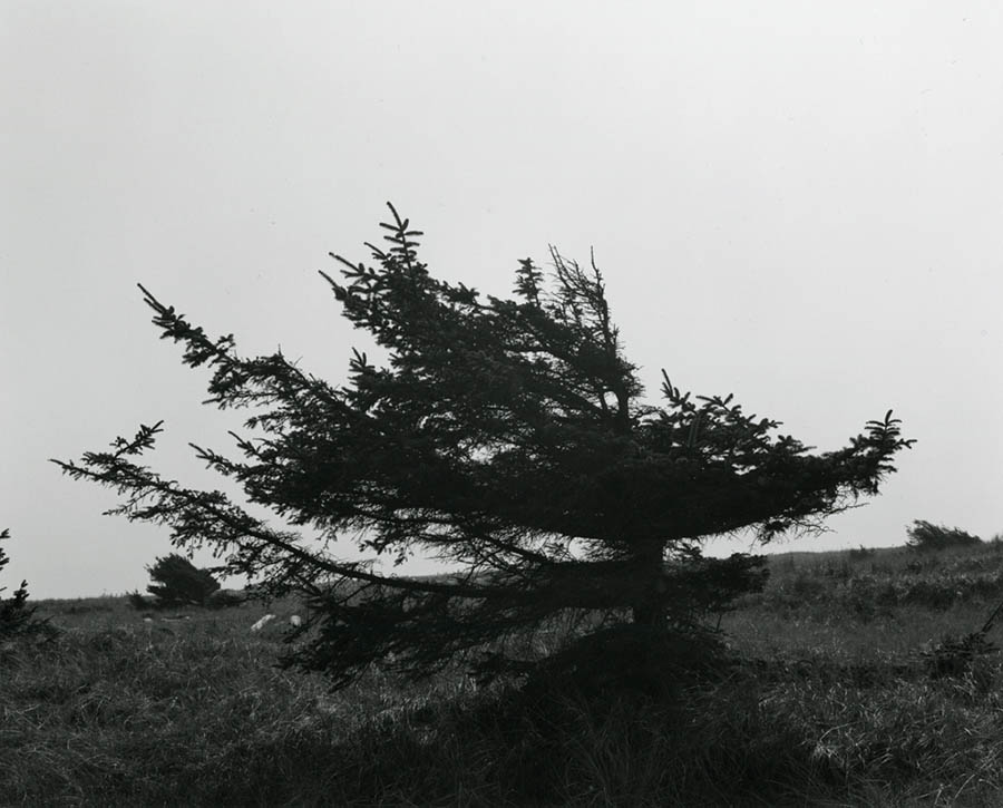 罗伯特亚当斯Robert Adams美国新地形摄影新西部黑白风光纪实摄影作品集欣赏