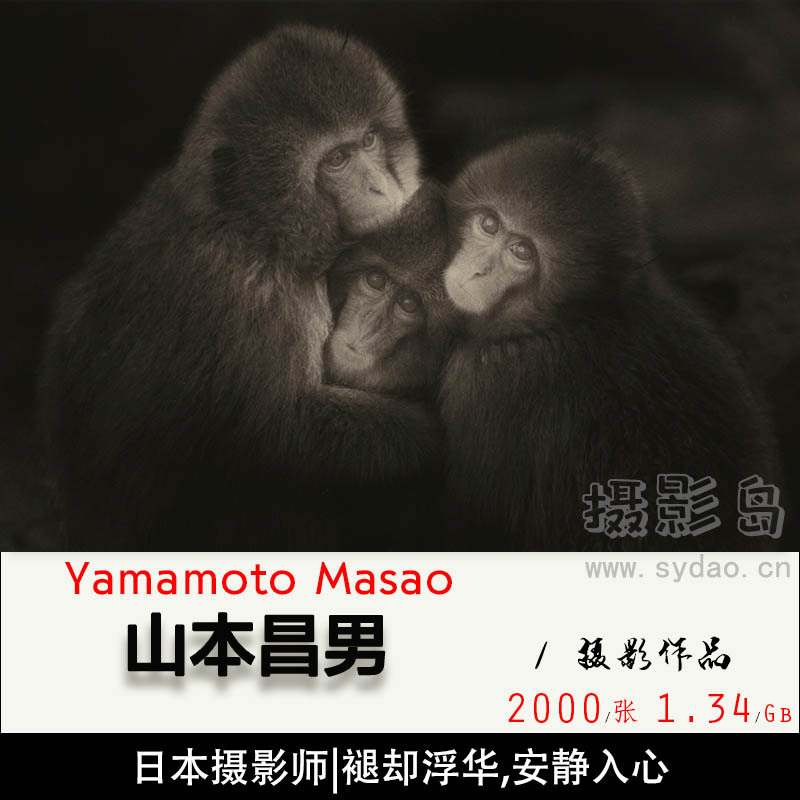 日本著名摄影大师山本昌男Masao Yamamoto黑白胶片诗意草木鸟类人体作品集图库欣赏