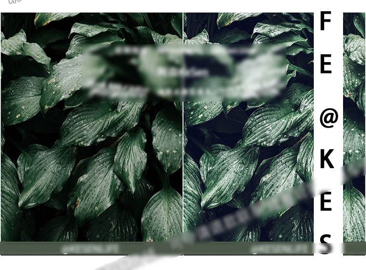 深绿墨绿色植物色调预设，适用于Lightroom/PS/手机版LR摄影后期照片调色滤镜