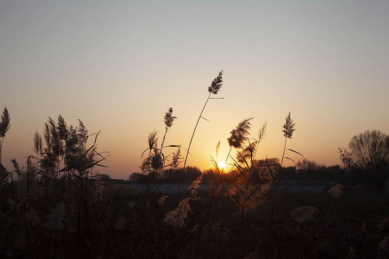 46张湖泊水库草地夕阳风景风光raw未修原片，佳能相机cr2格式原图练习素材