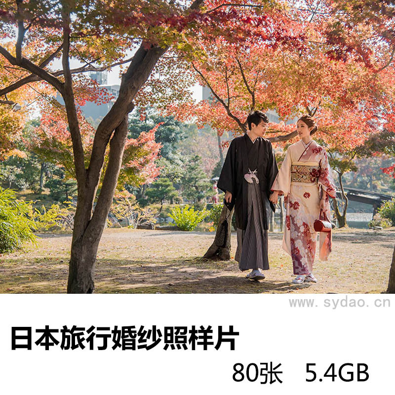 80张日本旅行婚纱摄影旅拍婚纱照样片