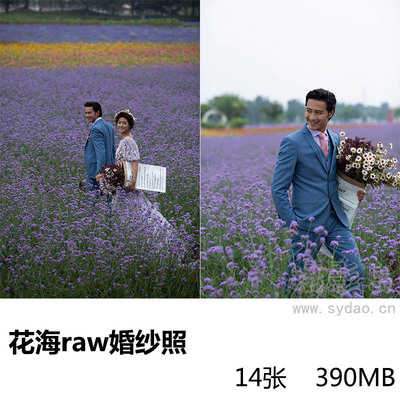 14张唯美紫色花海婚纱照raw未修原片，佳能相机cr2格式婚纱照旅拍原图练习素材