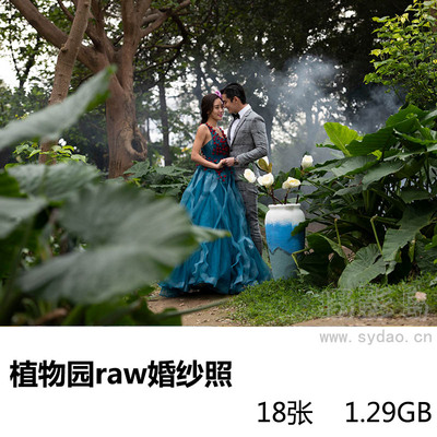 18张外景植物园公园婚纱照raw未修原片，尼康相机NEF格式人像原图修图练习素材