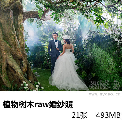 21张绿色植物树木场景婚纱照raw未修原片，佳能相机cr2格式人像原图修图练习素材
