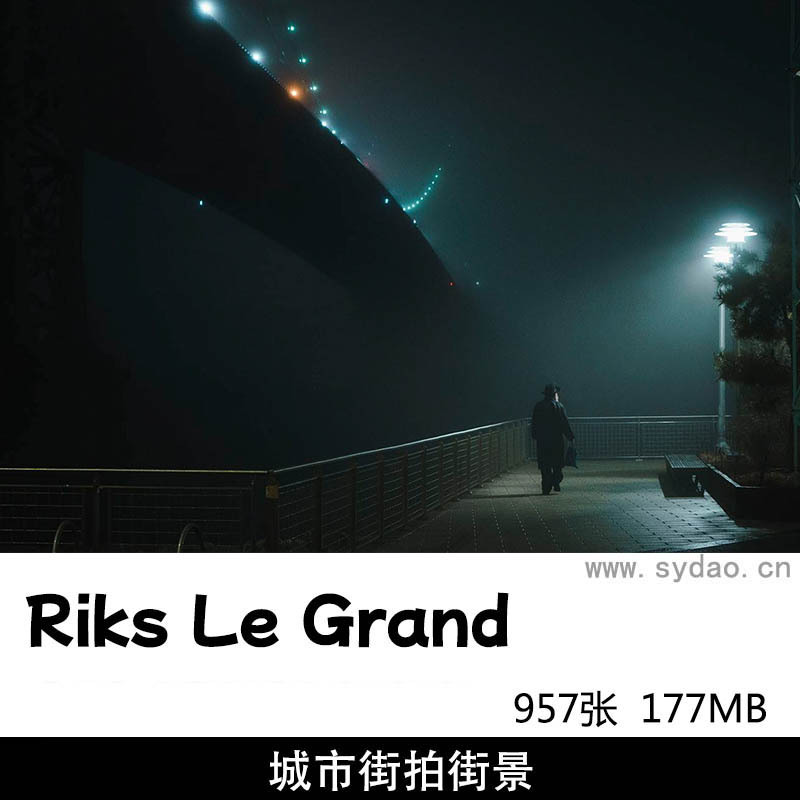 957张雨夜城市街头街拍街景摄影作品集欣赏，摄影师Riks Le Grand 作品图片审美提升素材