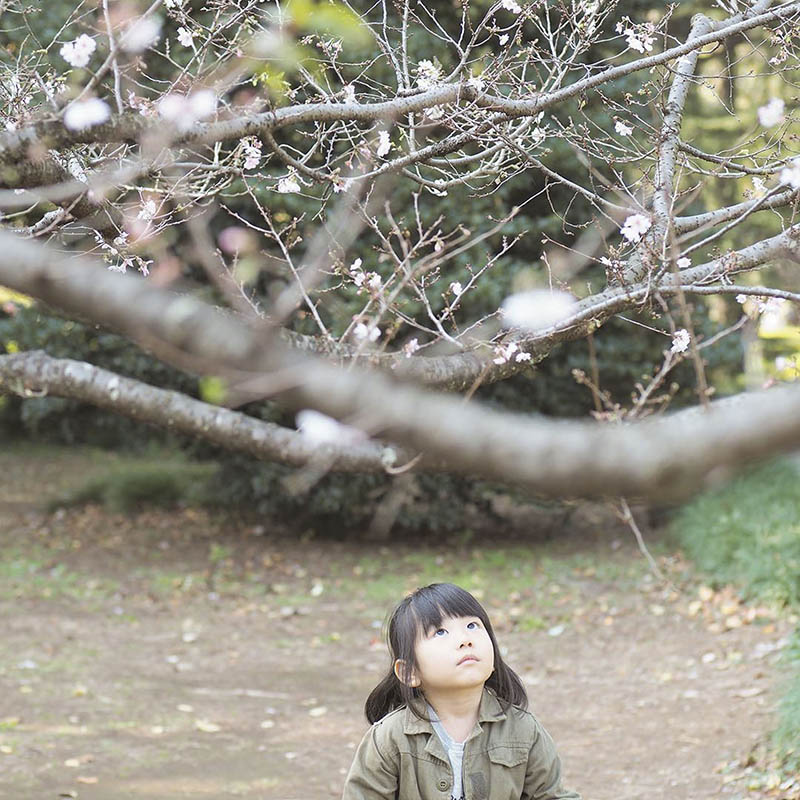 日本家庭儿童纪实摄影作品集欣赏，摄影师fuko0403作品