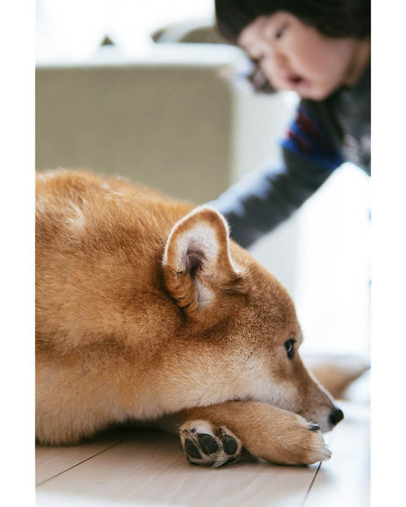 日系纪实家庭、儿童、宠物摄影图片集图库欣赏，日本摄影师Tsuyoshi Inoue作品