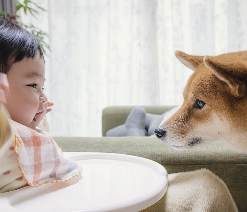 日系纪实家庭、儿童、宠物摄影图片集图库欣赏，日本摄影师Tsuyoshi Inoue作品